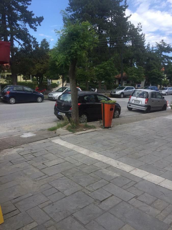 Anastasias Central Apartment Litóchoron Dış mekan fotoğraf